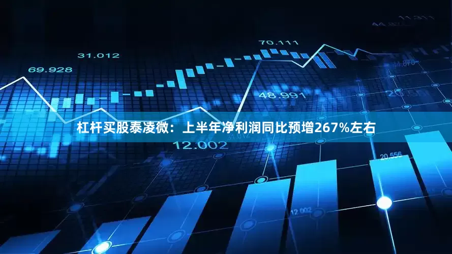 杠杆买股　　泰凌微：上半年净利润同比预增267%左右