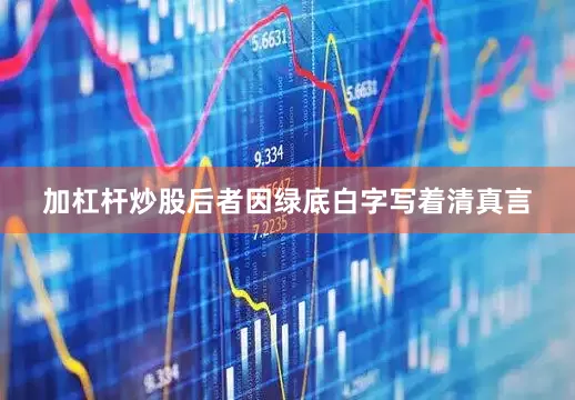 加杠杆炒股后者因绿底白字写着清真言