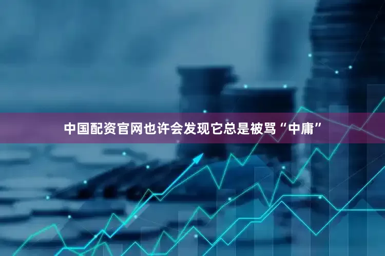中国配资官网也许会发现它总是被骂“中庸”